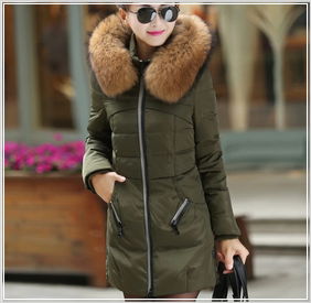 �������� ���� ���� ���������