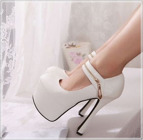 �������� ����� ����� ������ ���� ����������� ��������